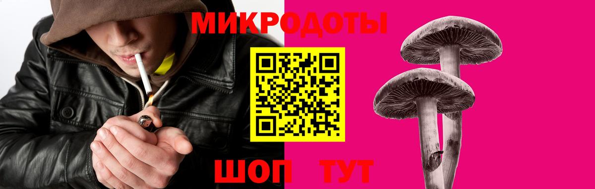 Галлюциногенные грибы Psilocybine cubensis  Вход с VPN  Псилоцибиновые грибы Psilocybine cubensis  Прокопьевск 